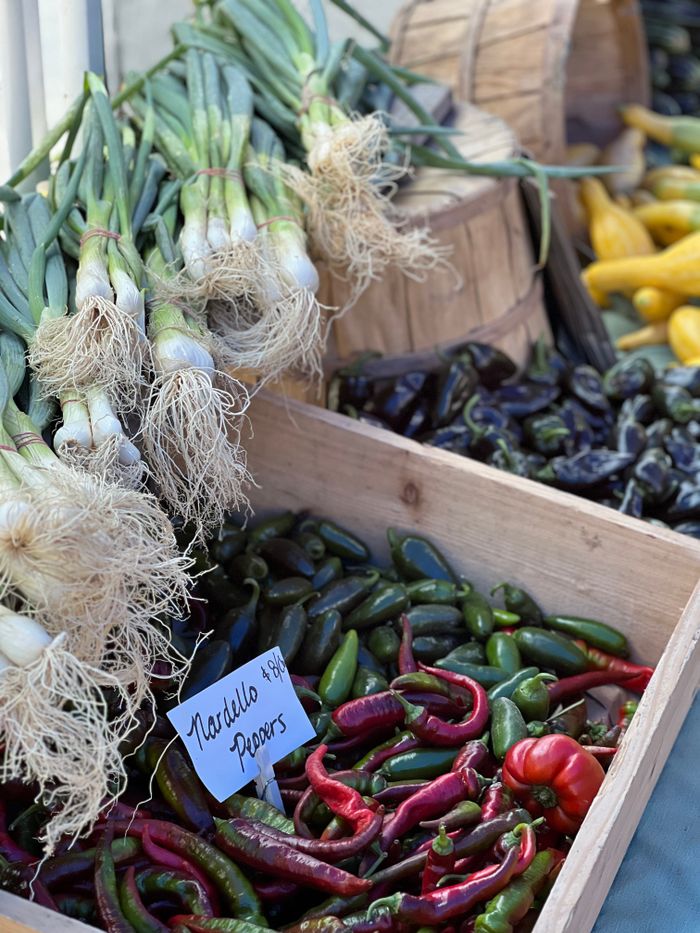gallery-5 A vibrant assortment of fresh peppers and green onions in a market stall.